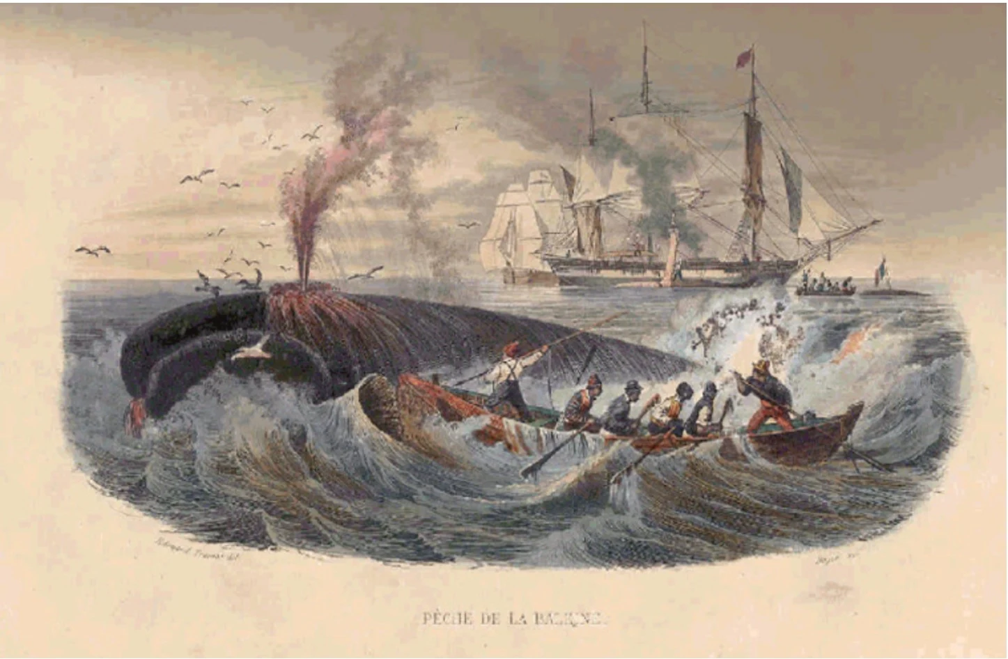 Pêche à la baleine aux temps anciens